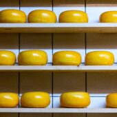 Экскурсия на производство сыра для школьников