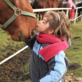 Экскурсия для школьников к мини лошадям (пони)