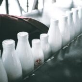 Производство и музей молочной продукции (Александров и Ростагроэкспорт)